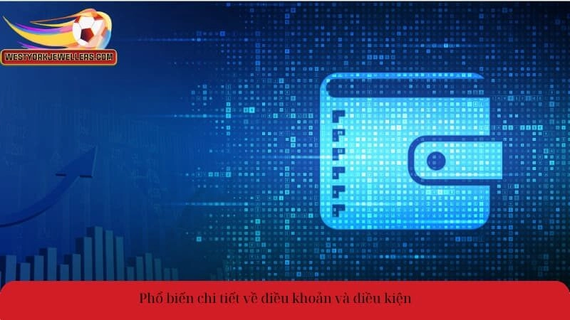 Phổ biến chi tiết về điều khoản và điều kiện
